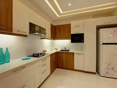 Portfolio Image